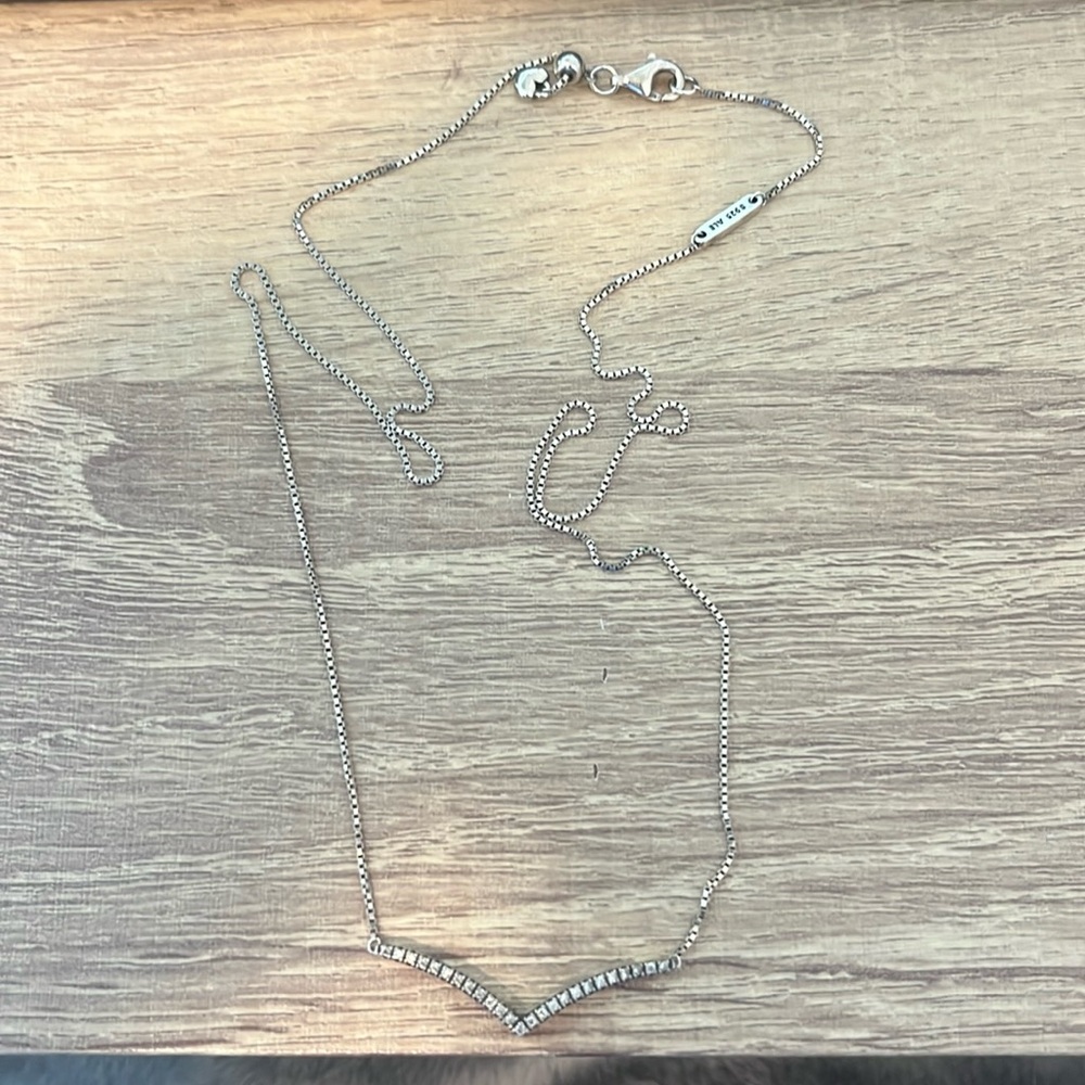 Pandora Silver Necklace